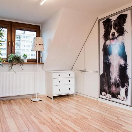 Apartament Lux-Centrum Gliwice Zewnętrze zdjęcie